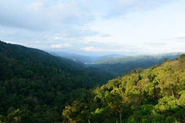 Fototapeta premium Chong Yen is a famous tourist attraction in Mae Wong National Park, Kamphaeng Phet, Thailand.