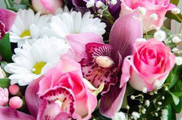 Bouquet of orchid, dahlia, pink and white flowers