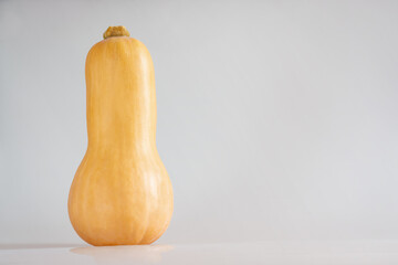 Light gray background with butternut squash horizontal format