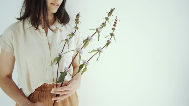 Midsection studio shot of young woman standing against white background and holding fresh twig of motherwort herb