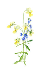 Obraz premium Small bouquet of watercolor wildflowers violet and veronica on white background