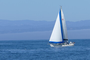 Sailboat 