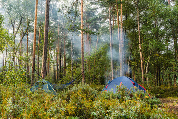 Forest Tourist Camp with Tents and Bonfire