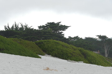 Dune