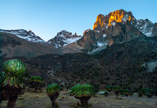 Mt. Kenya