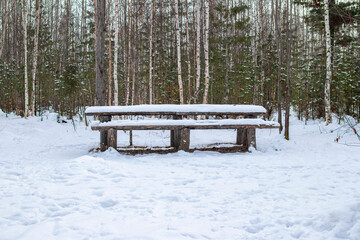 Forest landscape. Snow-covered table and benches in the winter forest.