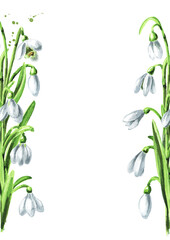 Border of first spring flowers snowdrops, Hand drawn watercolor illustration, isolated on white background