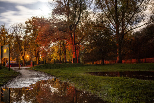 Fall nightscape