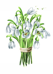 Bouquet of the first spring flowers snowdrops. Hand drawn watercolor illustration, isolated on white background