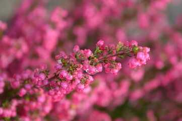 Exploring the Similan and Surin islands in the Andaman Sea of Thailand