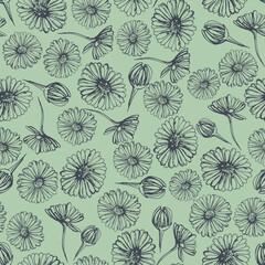 Seamless Pattern With Chamomile