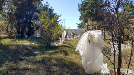 Plastic bags in the forest on the trees move in the wind. There is a lot of garbage in nature. Social issues related to environmental protection. Landfill. Pollution of nature.