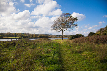 Obraz premium irish landscape