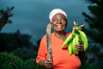 image of african aged woman, with farm produce and a tool- agricultural concept