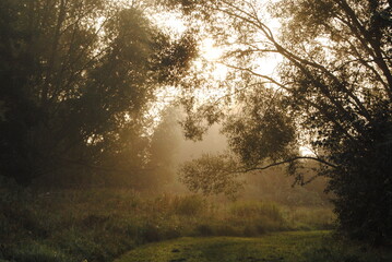 Ein nebeliger Morgen im November