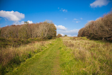 Obraz premium irish countryside