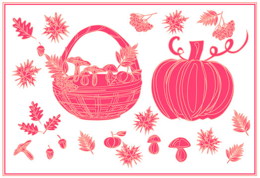 Halloween. Fall, autumn. Mushrooms. Leaves. Maple. Oak. Pumpkin. Rowan. An Apple. September. October. November. Set of autumn vector isolated images.