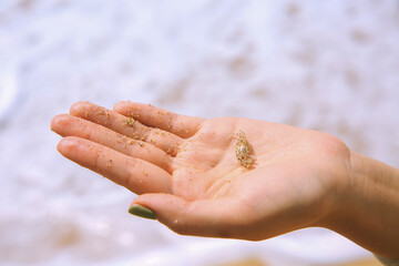 Little crab at Kuilei Cliffs Beach Park, Oahu, Hawaii
