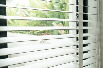 close up vertical blinds