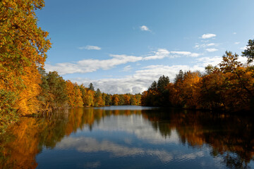 Goldener Herbst Pfaffensee / Bärensee Stuttgart. Sonniger Herbst Schöne Natur  