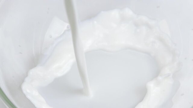 Close-up delicious natural milk is poured into glass bowl in slow motion, organic food and fresh drink concept, white background. White liquid, healthy milk products, cow soya rice coconut skim milk
