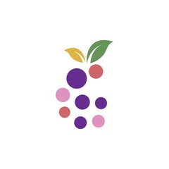 Grape fruits with leaf icon vector illustrtion