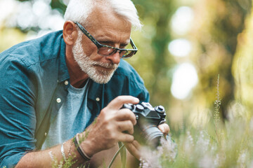 A gray-haired grandfather with a beard photographs flowers in the forest, a hobby in the fresh air. A keen amateur. - obrazy, fototapety, plakaty