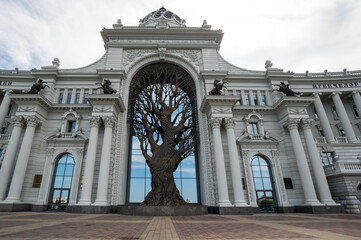 View of Agricultural Palace in Kazan
