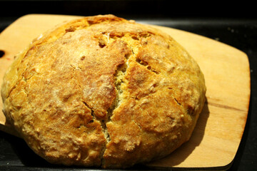 Whole wheat bread homemade