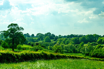 Germany, Countryside outskirts, a large green field with trees in the background