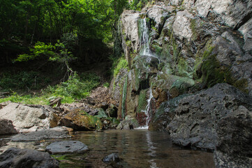 Beautiful views from a walk in the Bulgarian forests