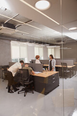 Vertical full length shot of businesspeople working at modern open space office