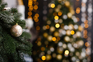 Christmas tree background. New Year composition with spruce and lights. Close up image of christmass tree