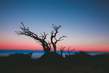 Sunet at Mauna Kea, Big island, Hawaii