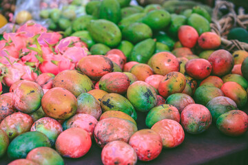 Mango at KCC Farmers Market, Oahu, Hawaii
