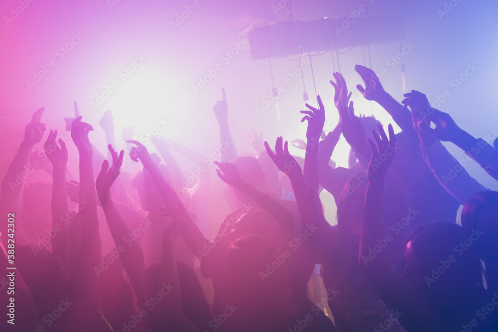 Canvas Prints photo of big group many people funky event stage dj concert neon bright pink spotlight modern club i