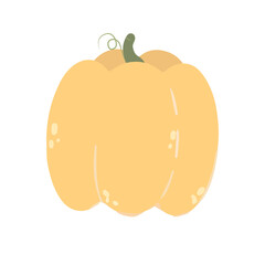 Pumpkin in cartoon style. Vector image. Isolated on white background