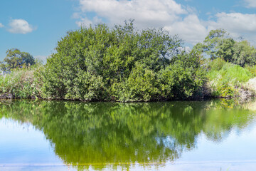 Fototapeta na wymiar Water reserve for irrigation in Huelva, Andalusia, Spain