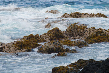 Rocks in the waves