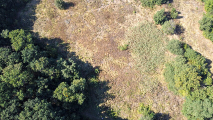 Bird's eye view of the green forest. Natural background