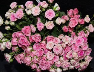 pink roses on the counter of the store. Flower trade, private business, losses, loss of customers, switching to contactless delivery. The rise in price of flowers, an armful of roses