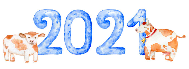 2021. Happy New Year banner. Blue numbers. Cute white-reddish cows. Symbol of 2021. Watercolor hand-drawn  elements. Template for Christmas flyers, greeting cards, brochures.  Isolated on white