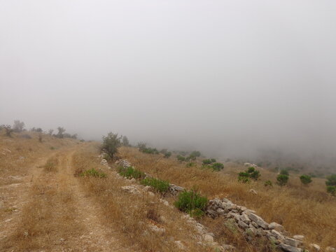 Hiking in the Bsharri (Bcharre) mountains of Lebanon among the Cedars of God trees