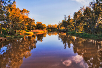 D Dubbo wide foot upstream