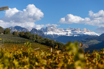 Dolomiti Rosengarten