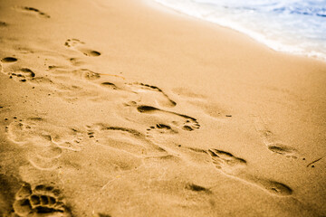 Abstract photo of footprints on a ocean beach.