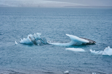 Deshielo de un iceberg