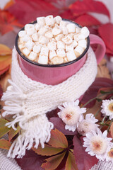 Hot cocoa or hot chocolate with marshmallows in a pink cup against a background of autumn leaves. Composition with a cup and a knitted white scarf, leaves and a bouquet of small chrysanthemums. 