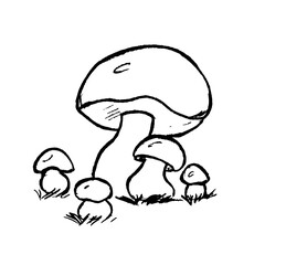 outline image of mushrooms on a white background