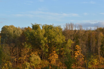 Fototapeta premium Golden autumn in Vilnius, Lithuania